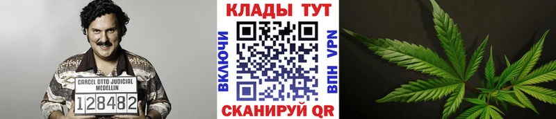 Сколько стоит Судак КОКАИН  Героин  Конопля  Мефедрон  A PVP 