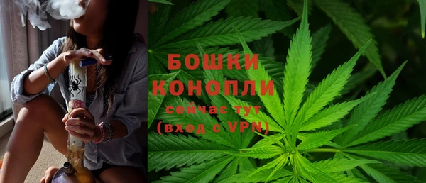 Альфа ПВП Арсеньев
