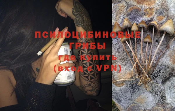 стафф Аркадак
